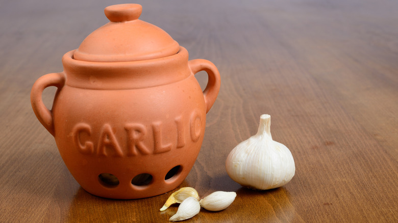 garlic bulbs with storage keeper