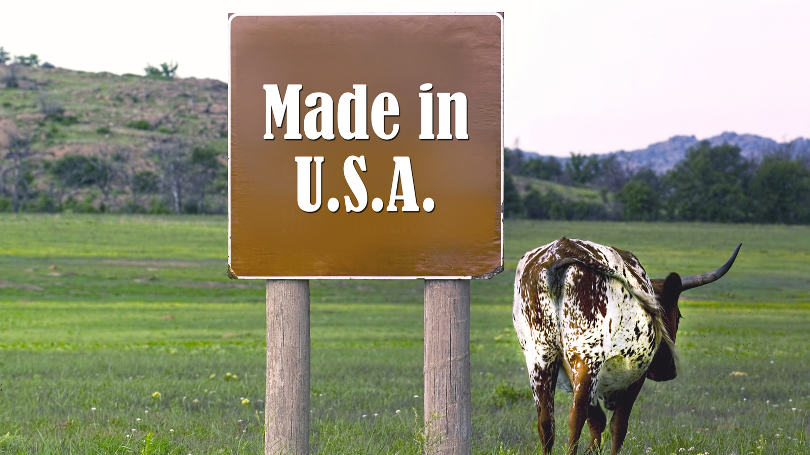 How To Tell If The Meat You're Buying Is From The USA