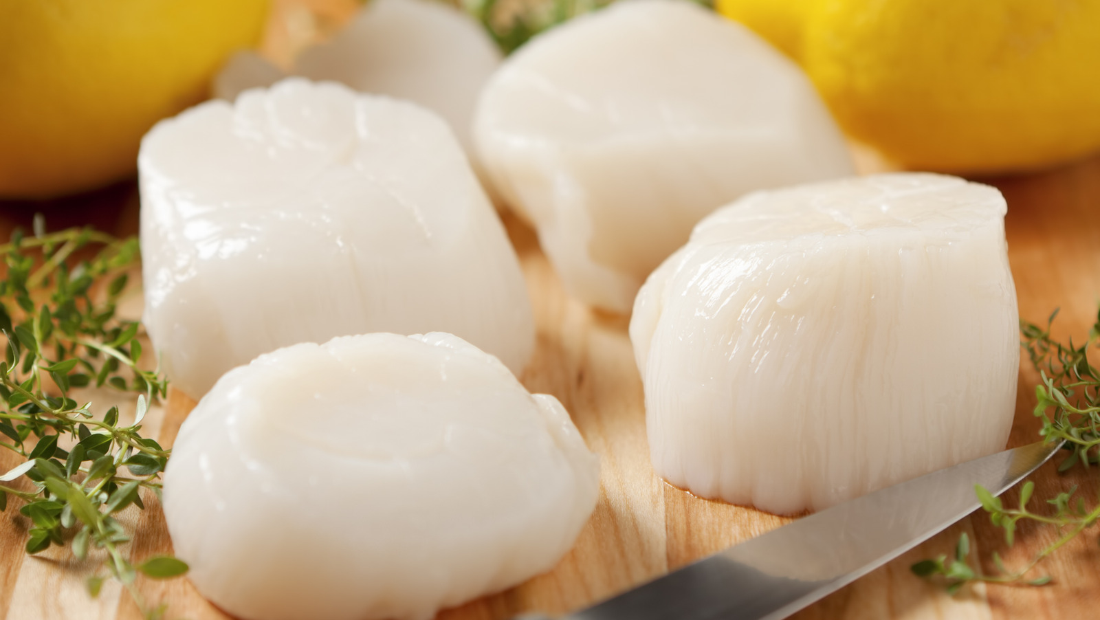How To Tell If Your Scallops Have Gone Bad