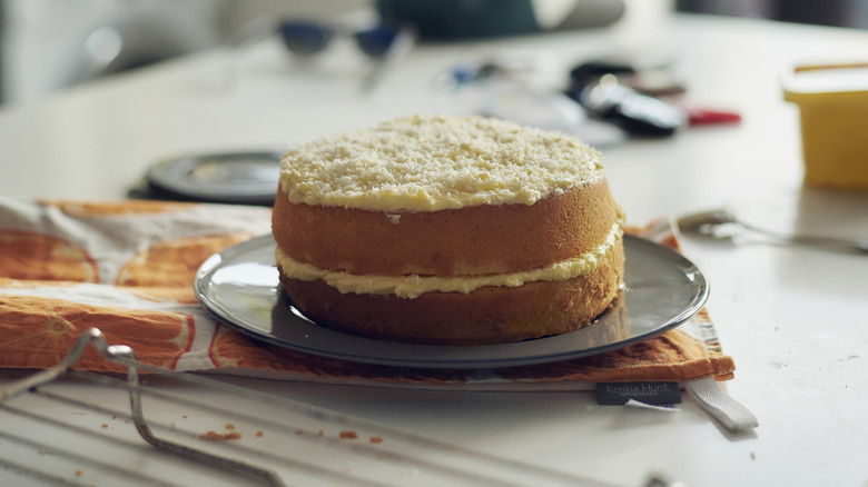 homemade frosted cake with two layers