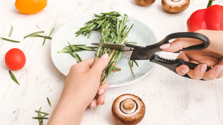 cutting herbs with kitchen scissors