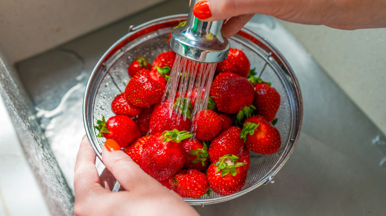 rinsing strawberries in sink