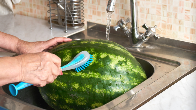 washing watermelon in sink