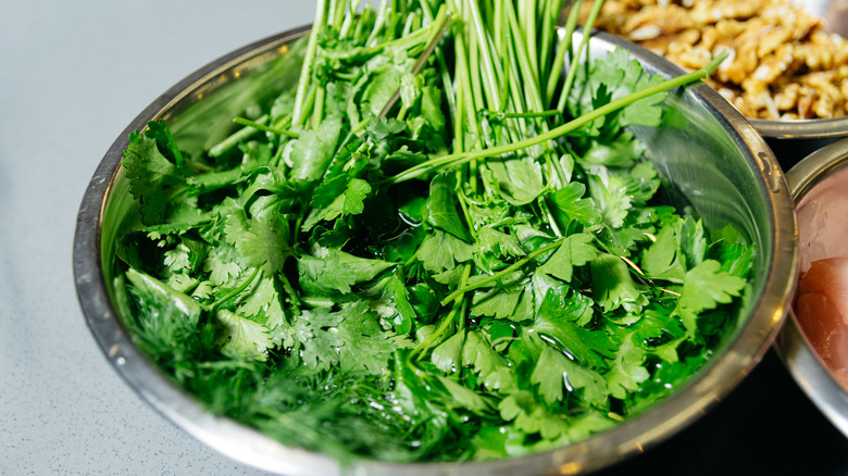 soaking cilantro in bowl of water