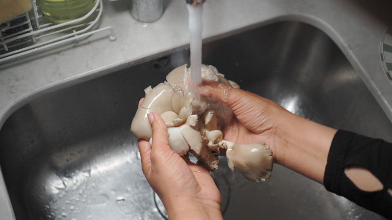 washing mushroom in sink