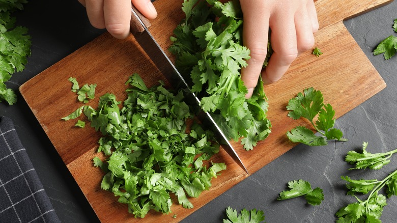 Cutting cilantro on a cutting board