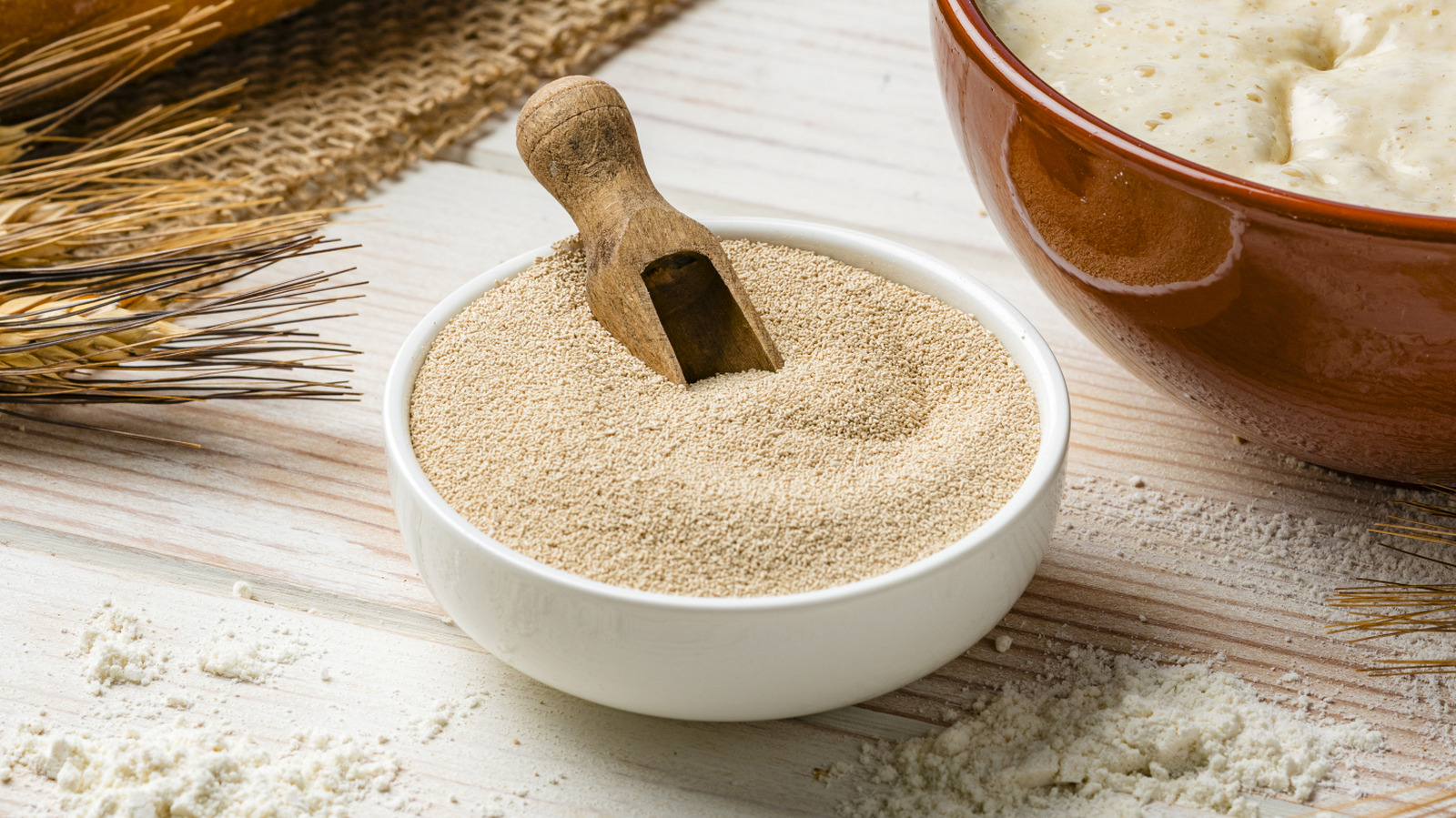 How Yeast Can Actually Be Beneficial For Gardening - Tasting Table