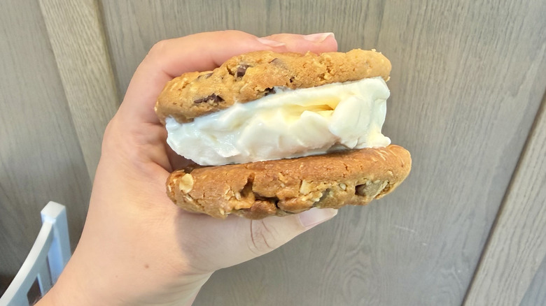 Hand holding an Icedream sandwich