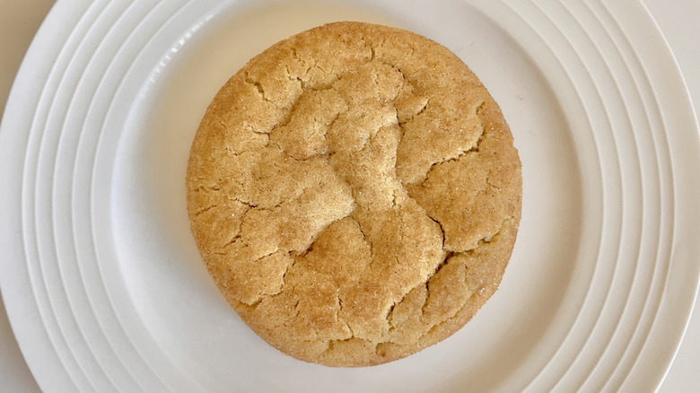 Top view of Snickerdoodle cookie