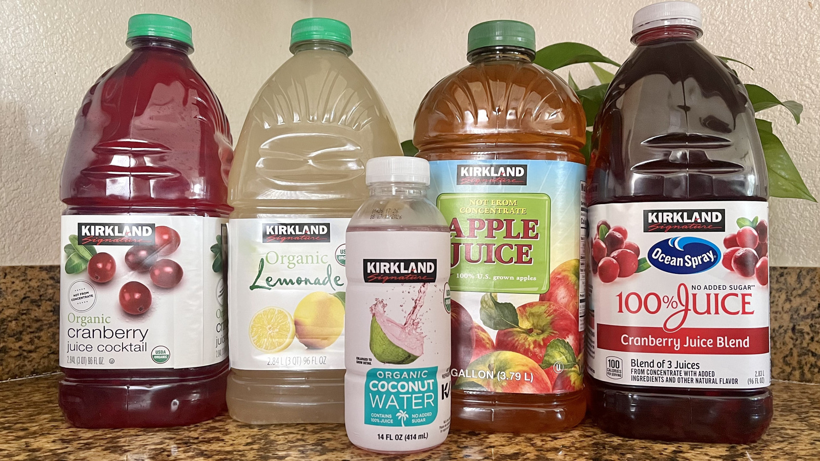 I Tried And Ranked 5 Costco Kirkland Signature Juices