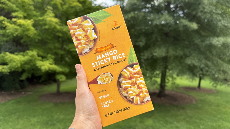 Hand holding box of Trader Joe's mango sticky rice in front of trees