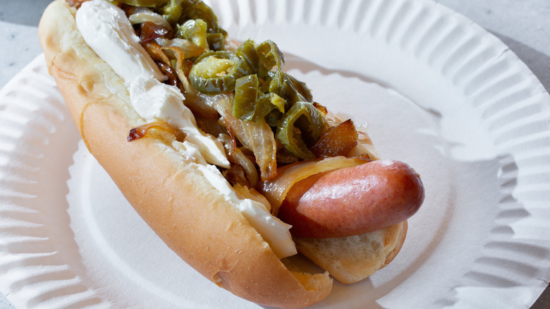 Seattle dog on paper plate