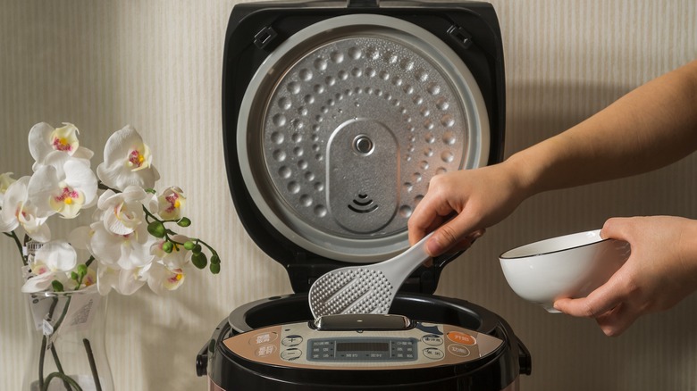 Hands of a person using rice cooker and rice paddle
