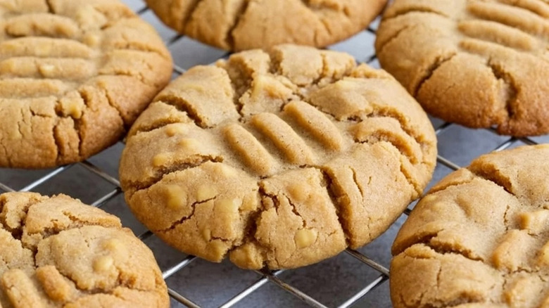 A close up of a crisp, flattened simple cookie cooling on a tray
