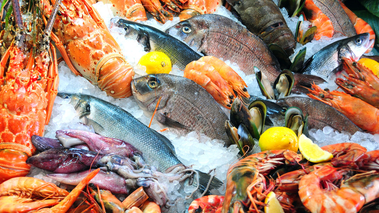 a colorful variety of fish and other seafood on ice