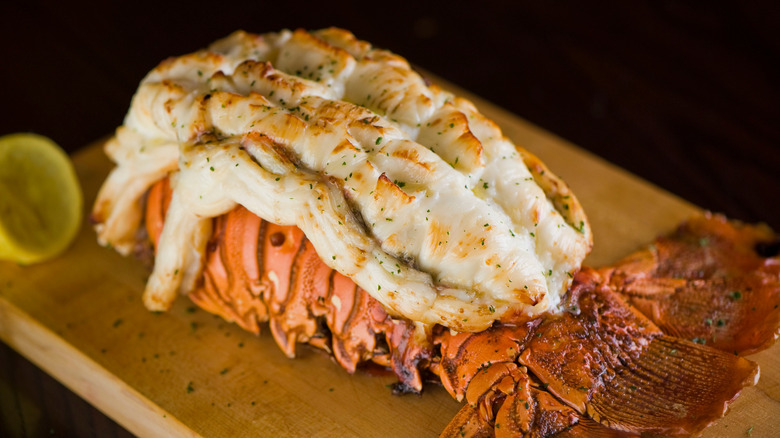 broiled maine lobster tail