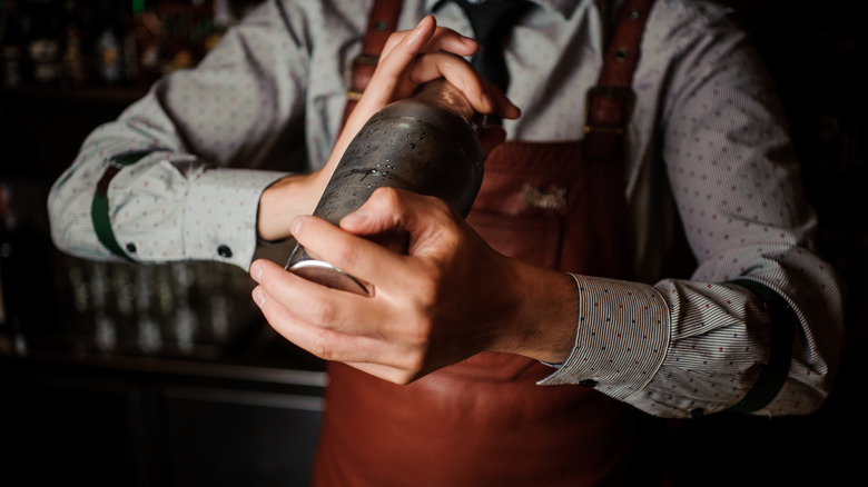 bartender shaking drink in a cocktail shaker