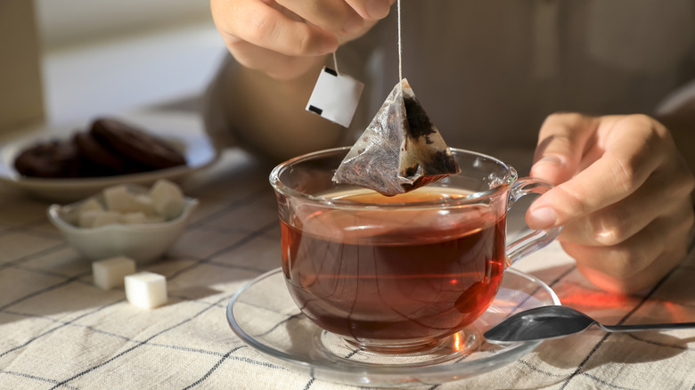 Person dipping tea bag into cup