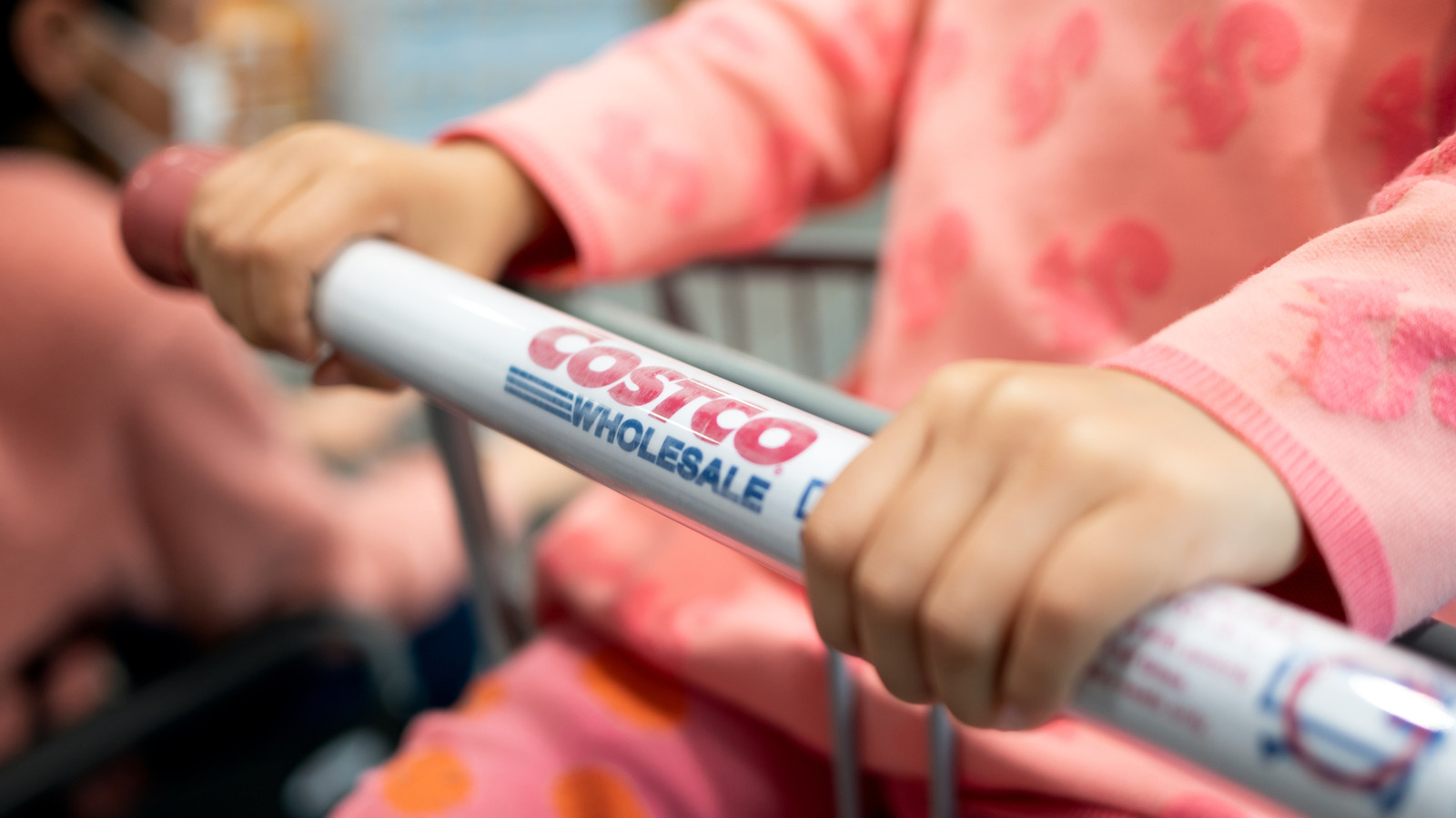 If You're Looking For A Cozy Costco Prepared Meal, You Can Safely Leave This One In Stores