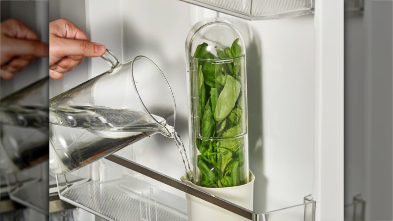 KLIPPKAKTUS herb storage in a refrigerator door