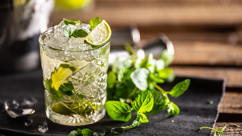 Mojito rum cocktail with mint