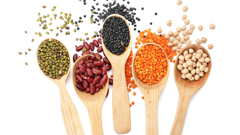 Wooden spoons with assorted legumes