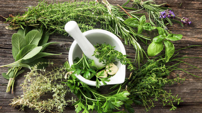 Fresh herbs around mortar and pestle