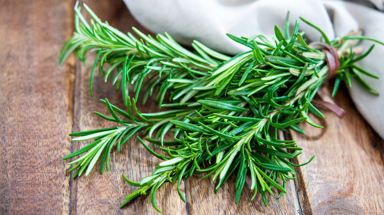 bouquet of fresh rosemary