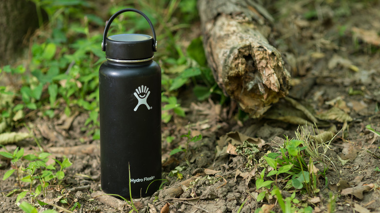 Hydro Flask on forest ground