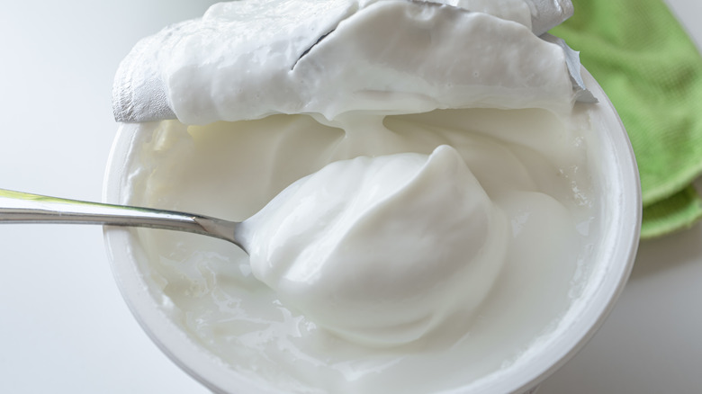 Spoonful of Greek yogurt
