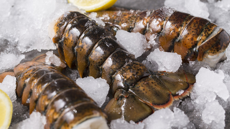 lobster tails on a bed of ice