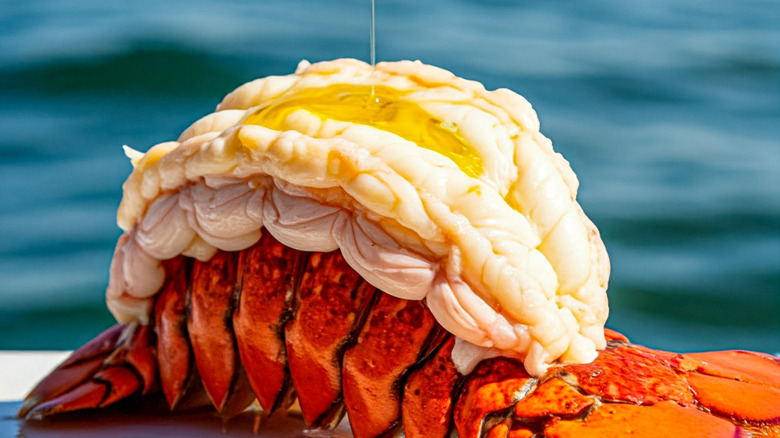 scored lobster tail with melted butter