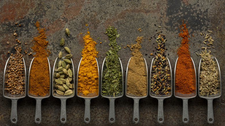 Dried spices spilling out of metal spoons, arranged in a neat row