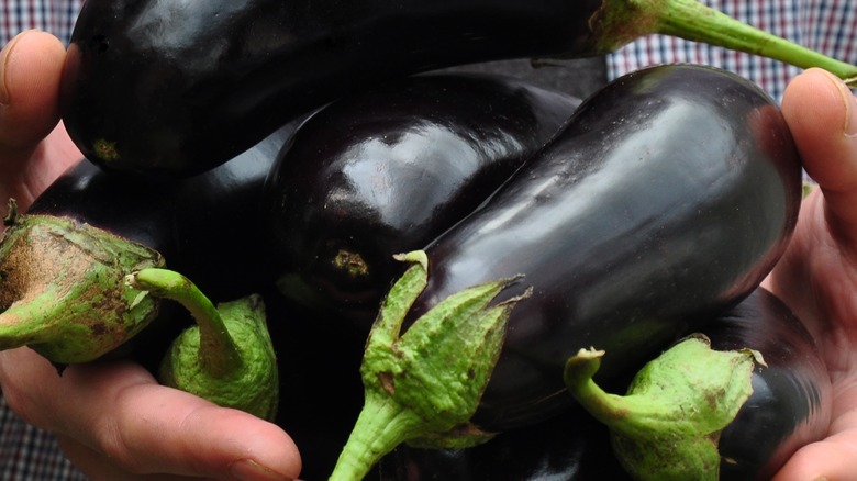 Man holding eggplants