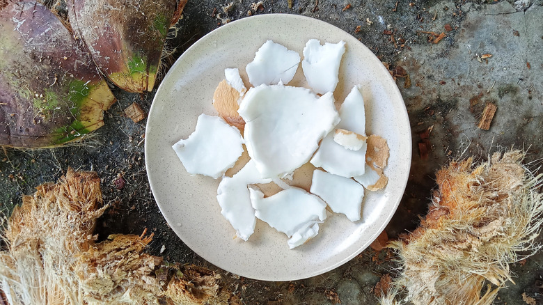 Coconut flesh on plate on top of dirt