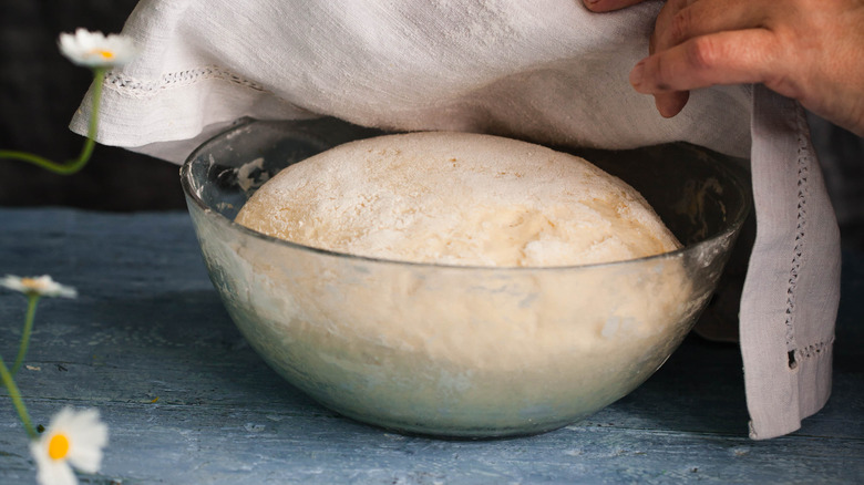 Proofing bread in a bowl