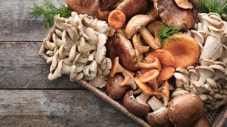 Tray of mushrooms