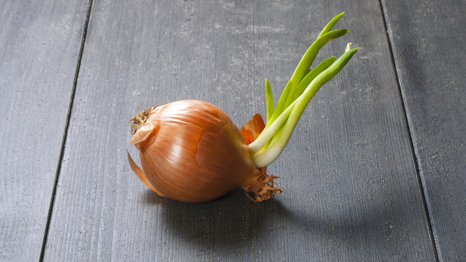 Is It Safe To Eat Onions That Have Started Sprouting?