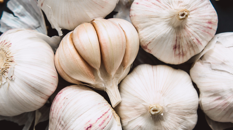An array of unpeeled garlic bulbs