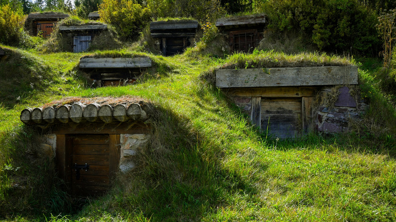 Traditional root cellars built into a hillside