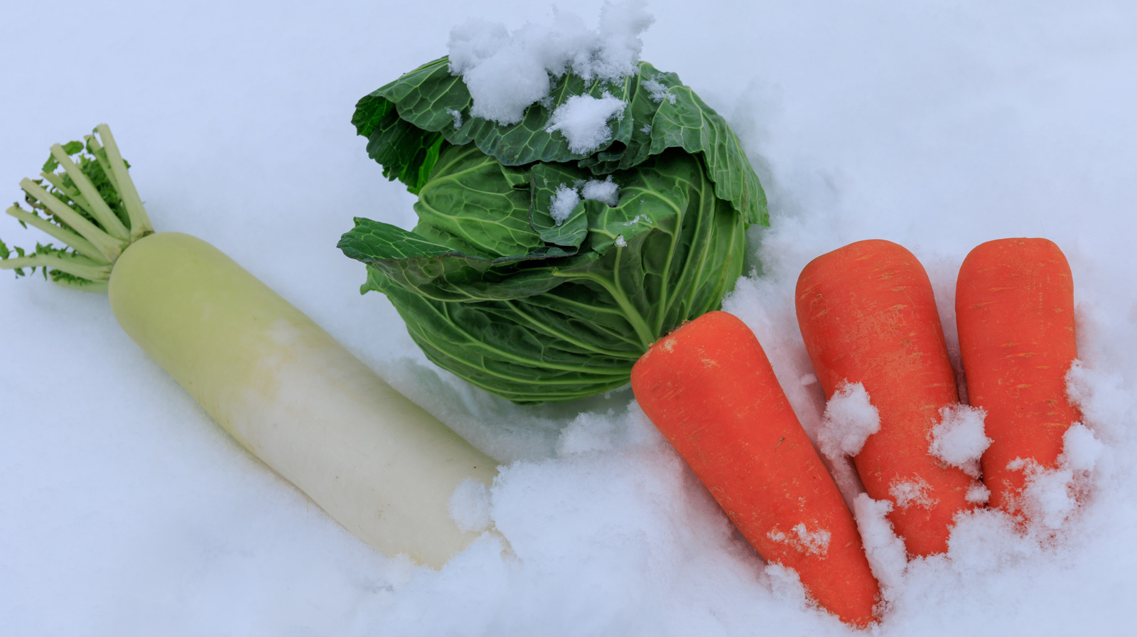 Is It Safe To Store Food Outside In The Winter? - Tasting Table