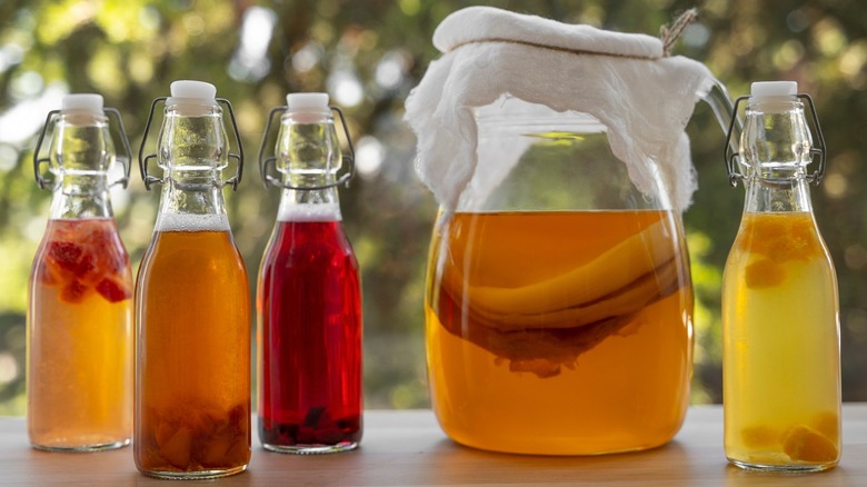 Several glass containers of kombucha next to a fermenting jar with a scoby