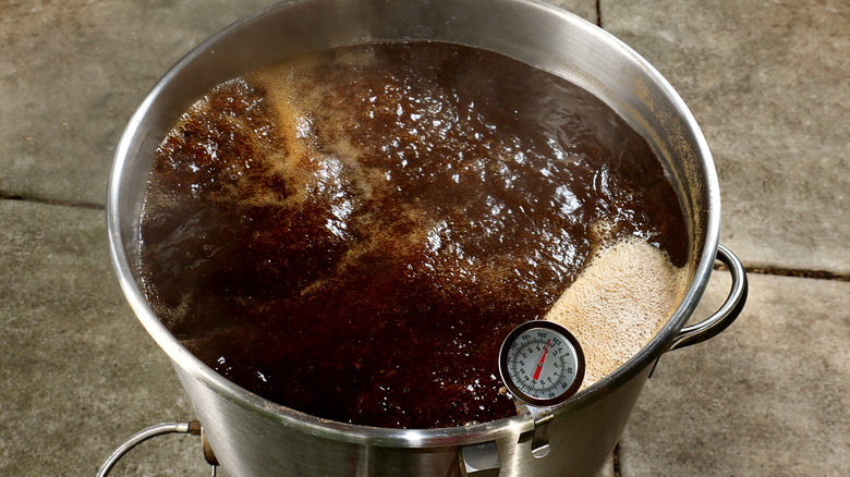 Wort boiling before fermentation
