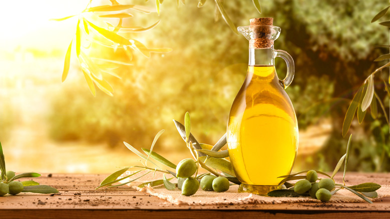 bottle of olive oil illuminated by sunlight