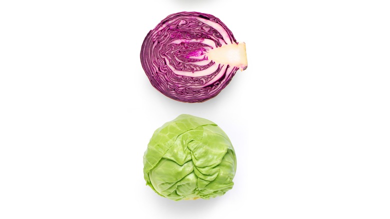 different cabbages and leafy greens