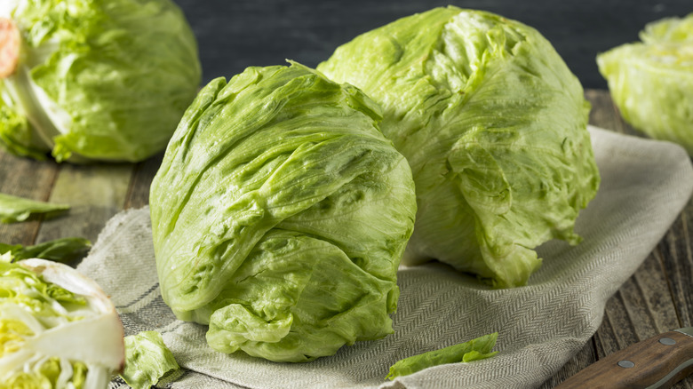 iceberg lettuce heads