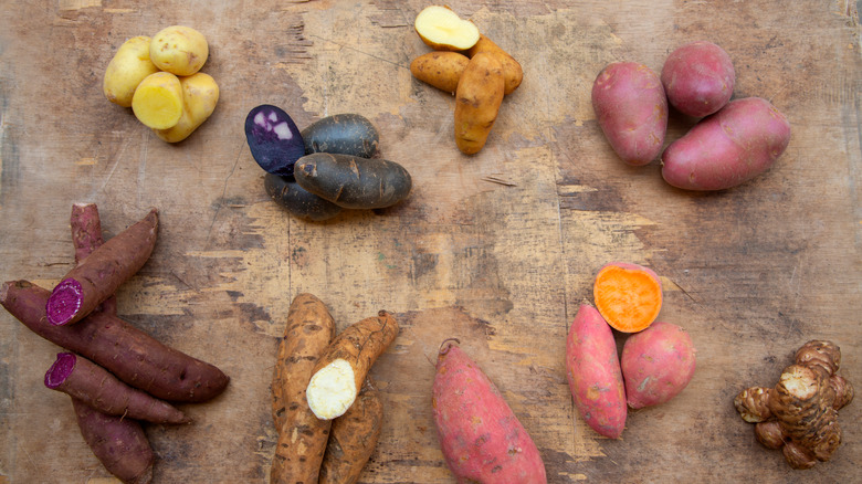 different kinds of potatoes 