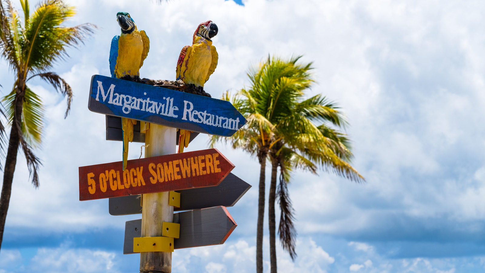 It Can Be 5 O'clock Everywhere With The Crocs X Margaritaville Collab