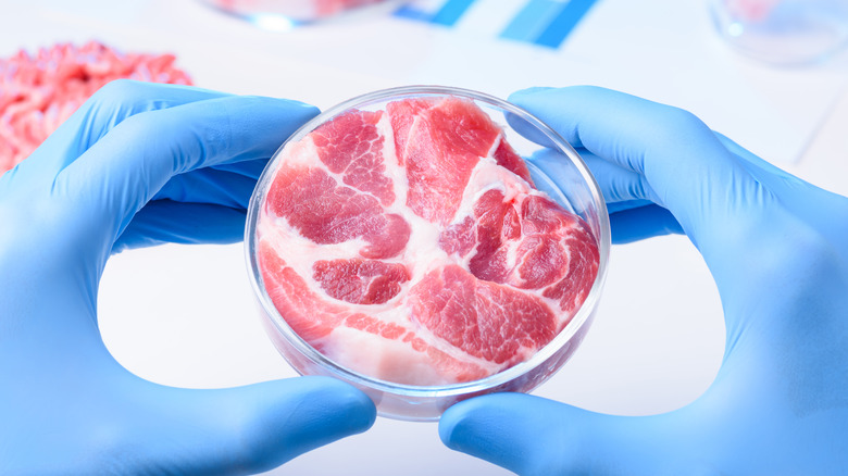 laboratory-created meat
