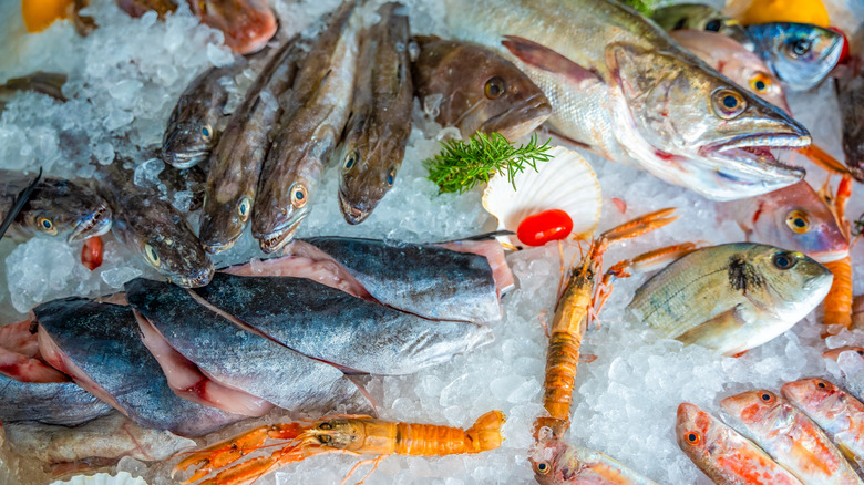 Variety of different fish and shellfish on ice with colorful garnishes, as in a market setting